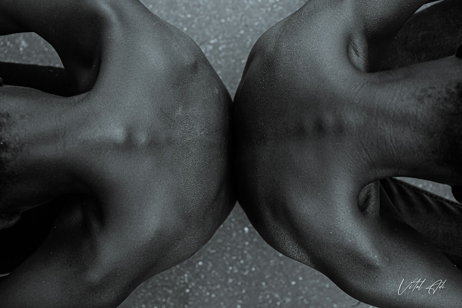 Foto de Vital Adi en Unsplash