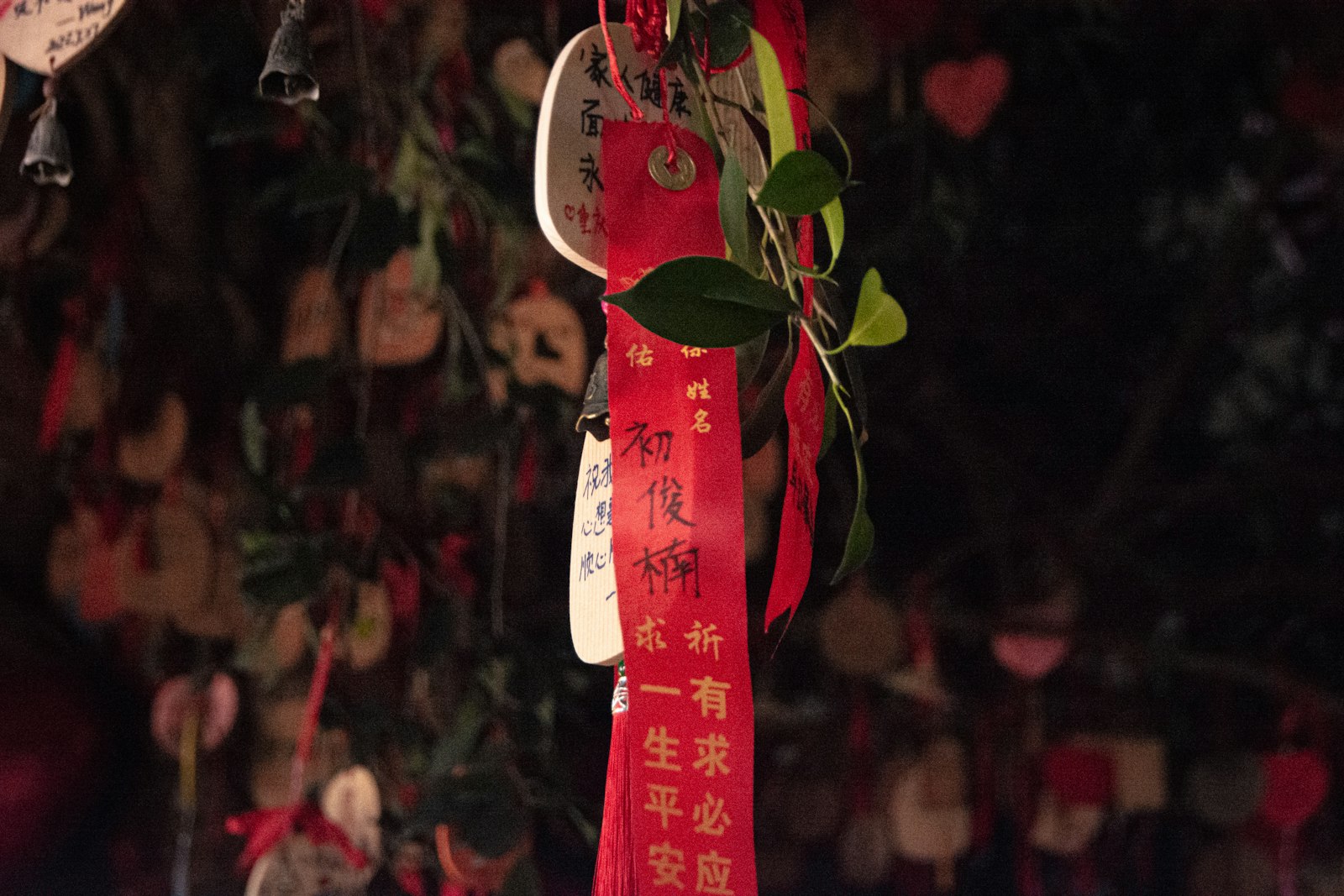 Foto de Andrew Yu en Unsplash