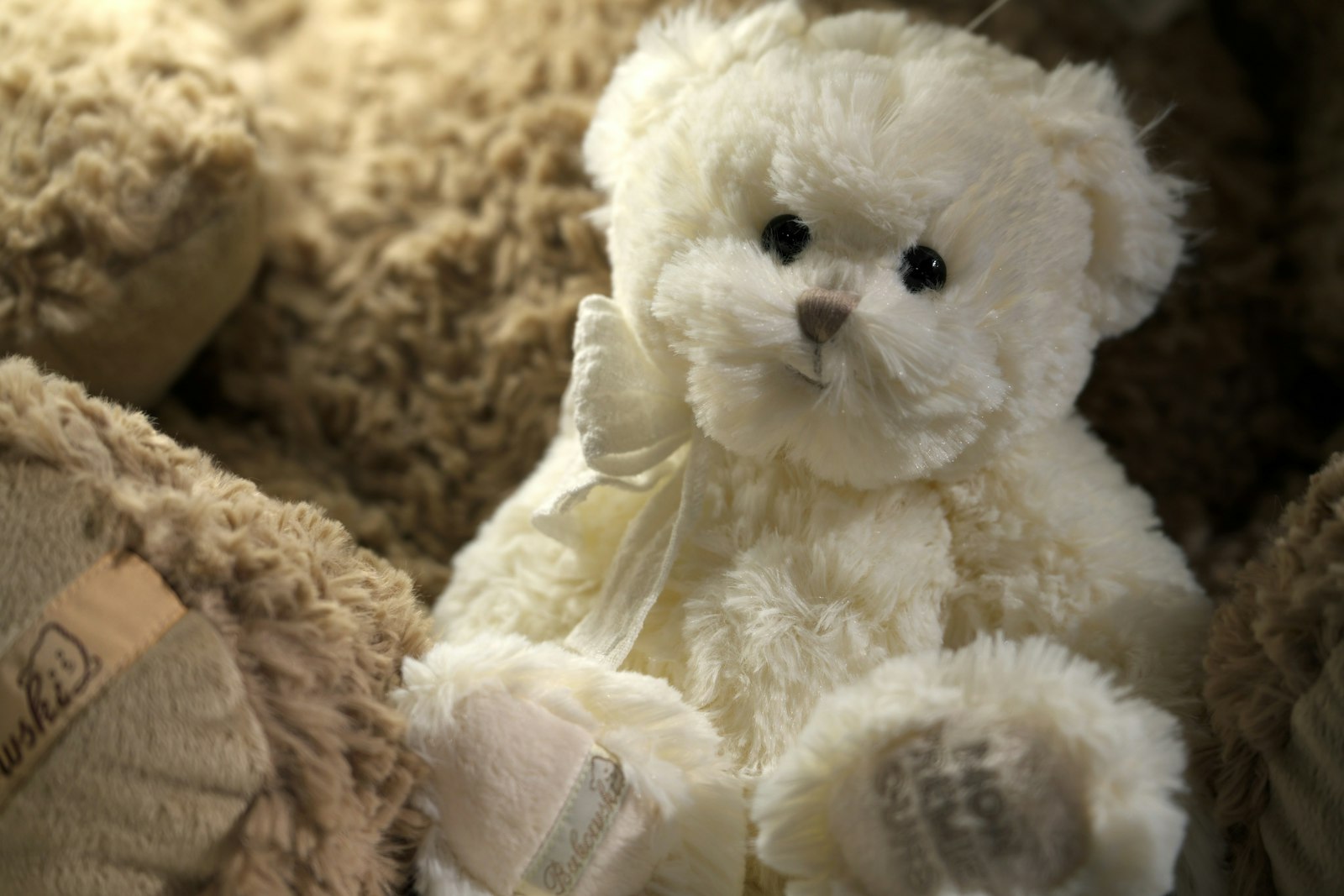 Foto de Tadeusz Zachwieja en Unsplash