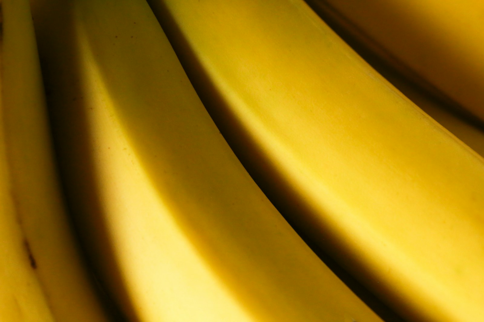 Foto de Giorgio Trovato en Unsplash