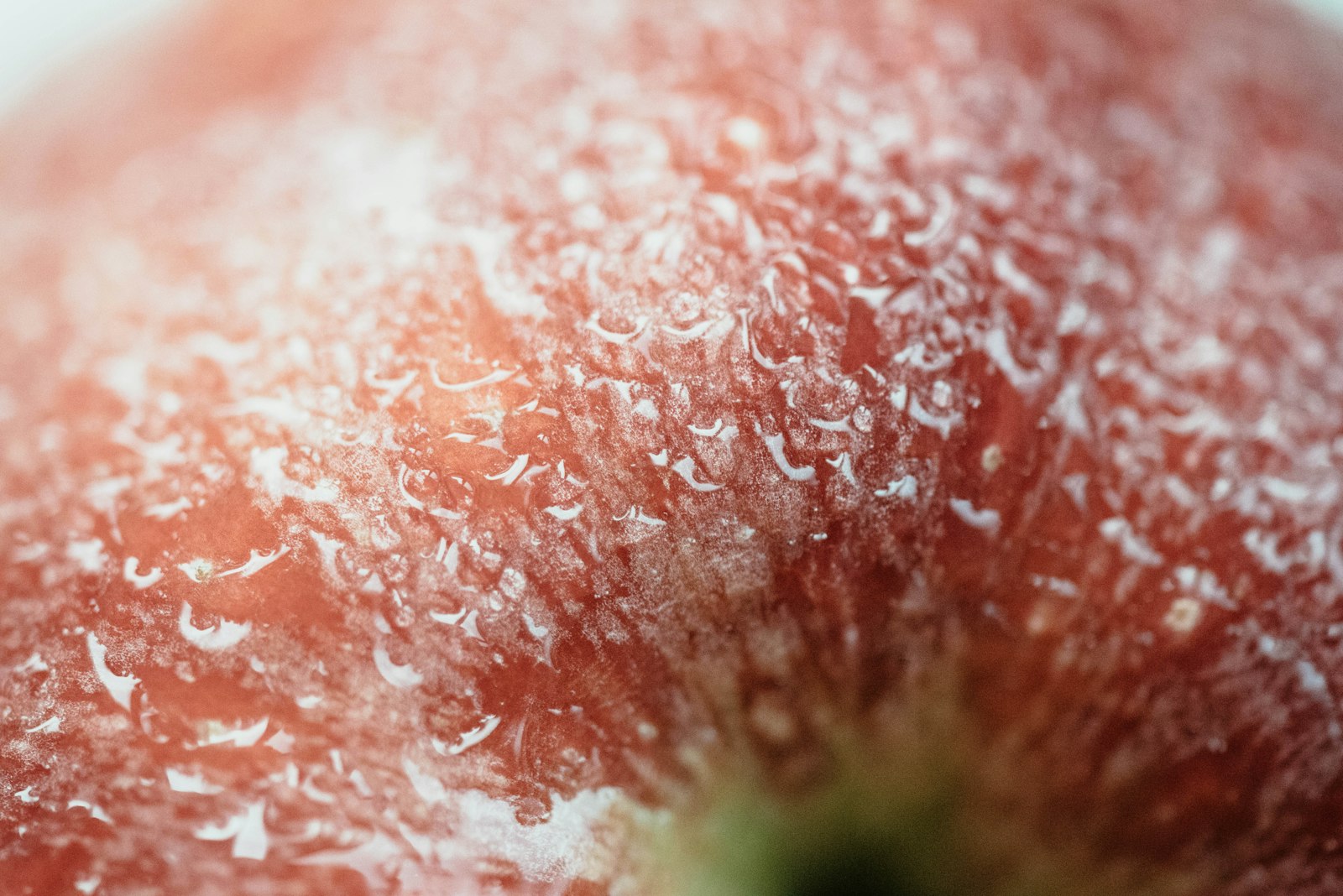 Foto de CHUTTERSNAP en Unsplash