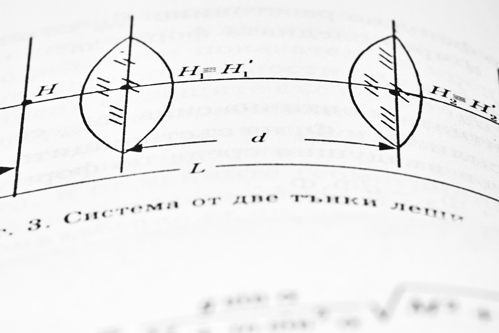 Foto de Bozhin Karaivanov en Unsplash