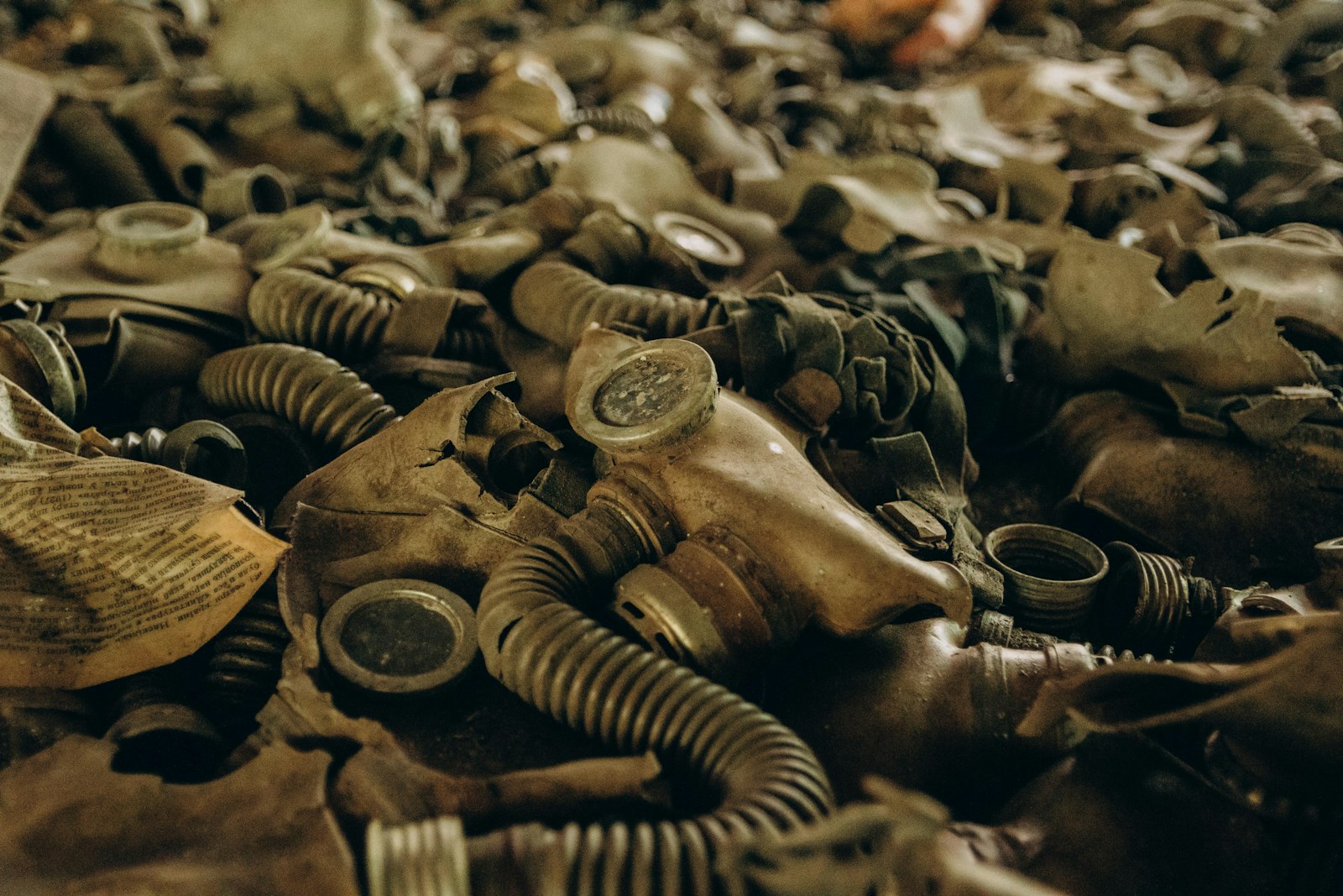 Foto de Raspopova Marina en Unsplash