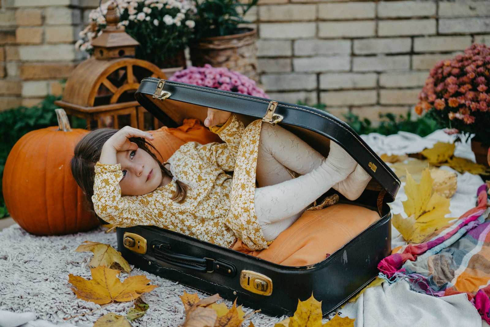 Foto de Raymond Petrik en Unsplash