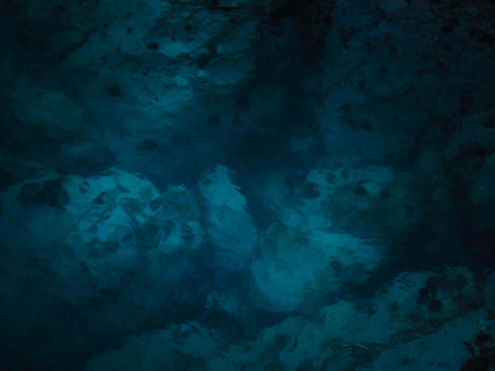 Foto de Алекс Арцибашев en Unsplash