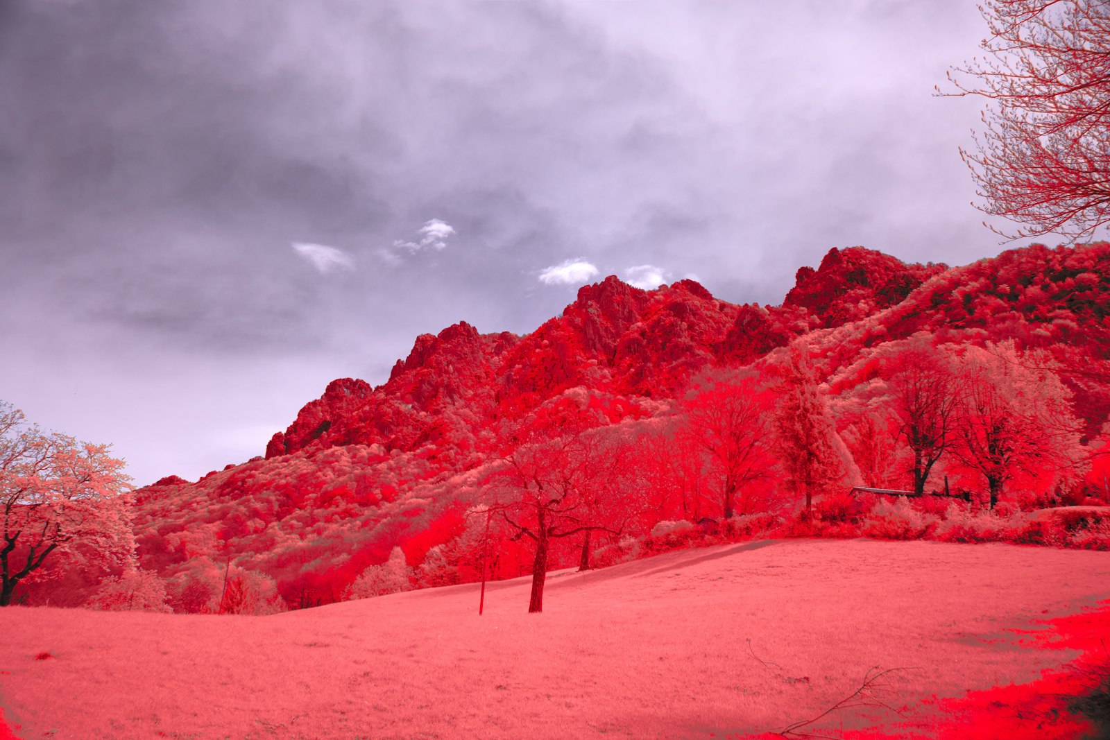 Foto de Wolfgang Hasselmann en Unsplash