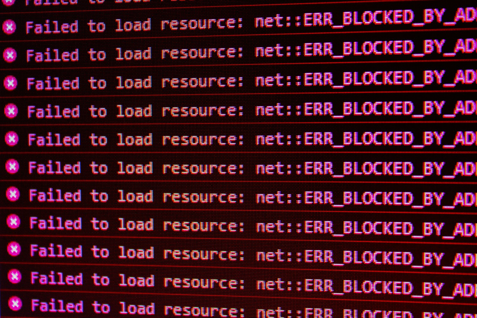 Foto de David Pupăză en Unsplash