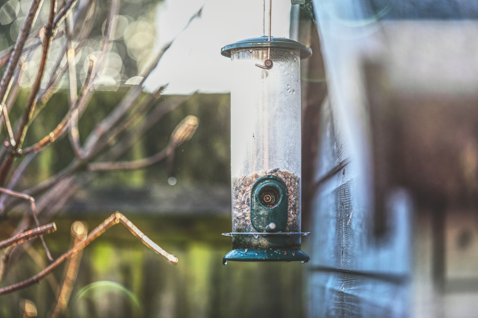 Foto de Luca Volpe en Unsplash