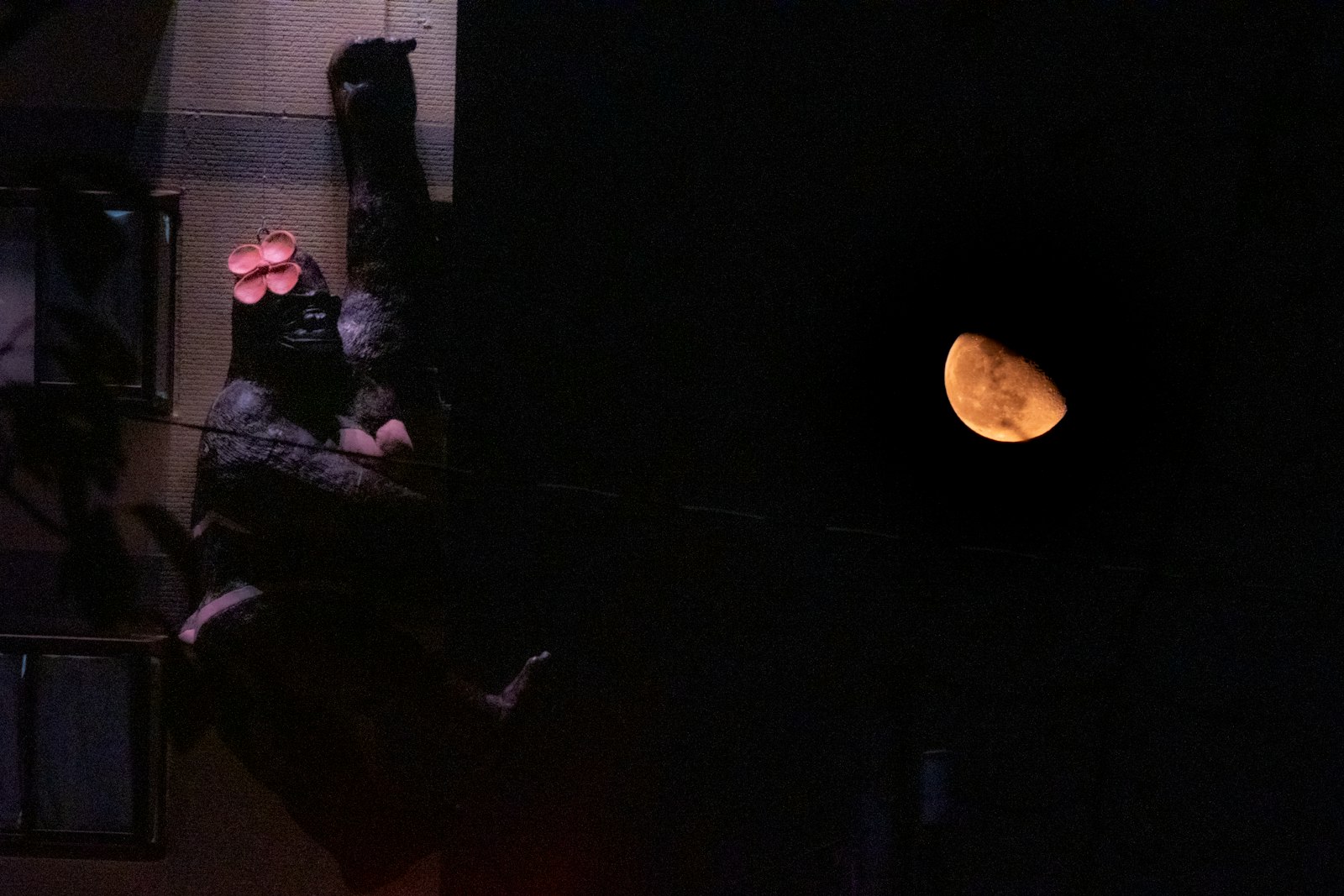 Foto de Nichika Sakurai en Unsplash