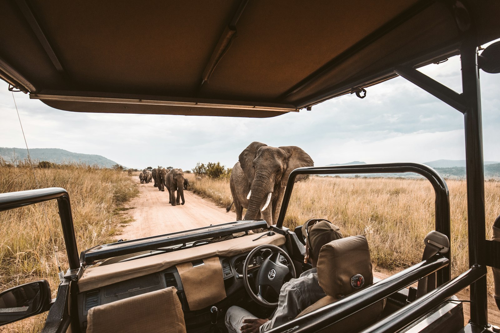 Foto de redcharlie en Unsplash
