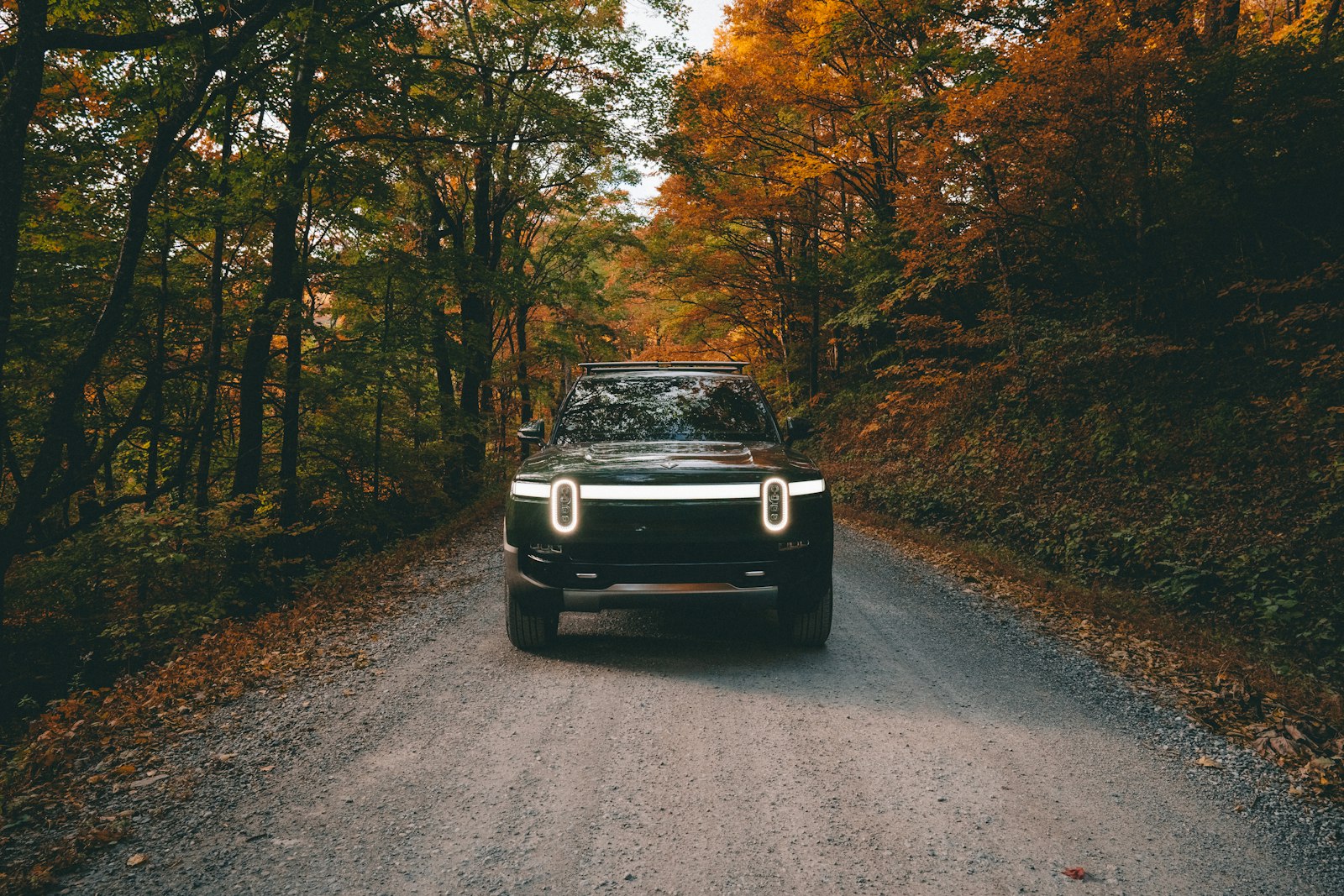 Foto de Wes Hicks en Unsplash